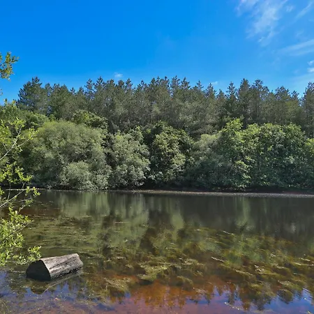 Piscine Etang Et Foret Feriehus *
