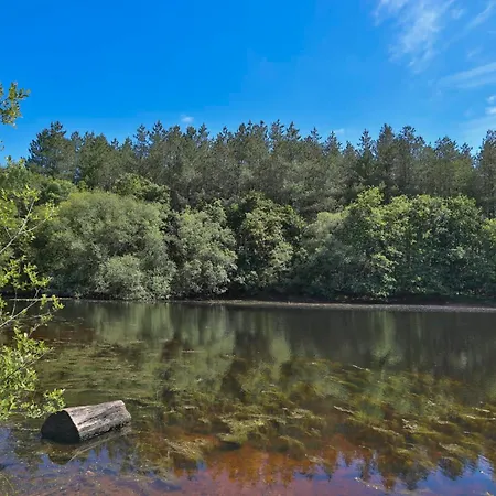 Casa vacanze Piscine Etang Et Foret *