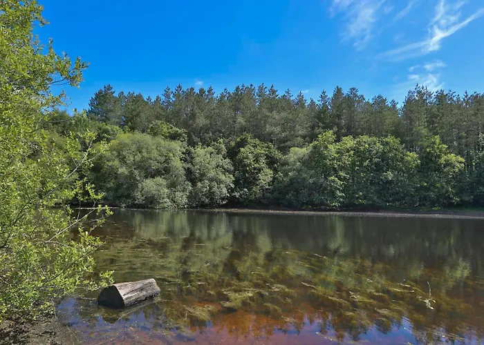 Prázdninový dům Piscine Etang Et Foret *